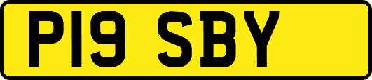 P19SBY