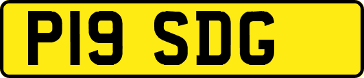 P19SDG