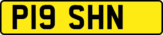 P19SHN