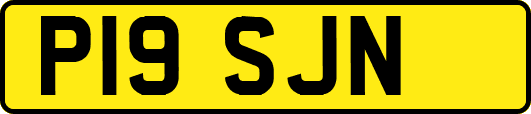 P19SJN