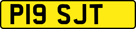 P19SJT