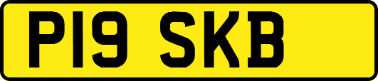 P19SKB