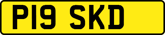 P19SKD