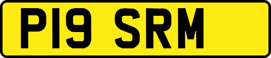 P19SRM