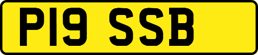 P19SSB