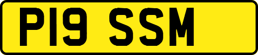 P19SSM