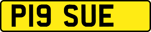 P19SUE