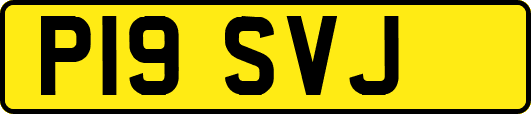 P19SVJ