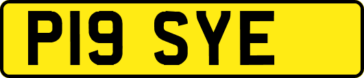 P19SYE
