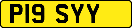 P19SYY