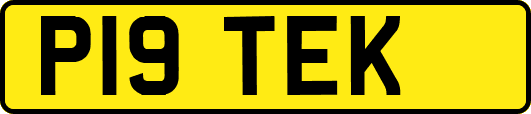 P19TEK