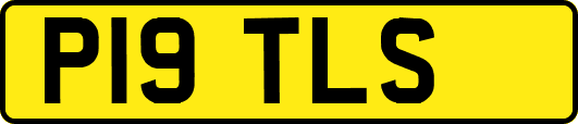 P19TLS