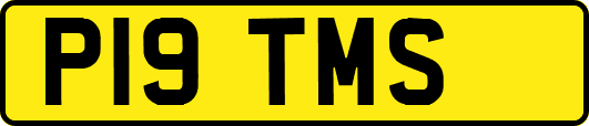 P19TMS