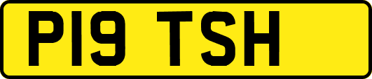 P19TSH