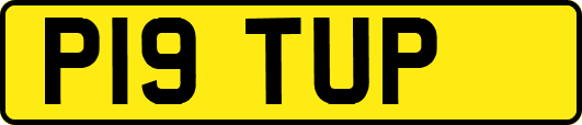 P19TUP
