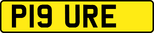 P19URE