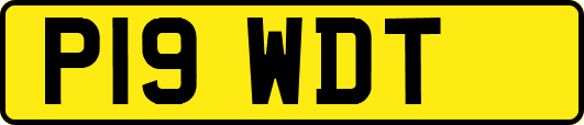 P19WDT