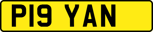 P19YAN