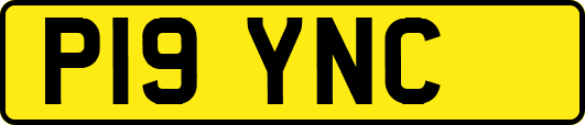 P19YNC