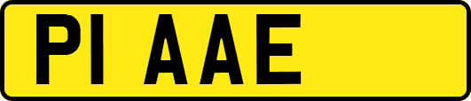 P1AAE