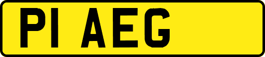 P1AEG
