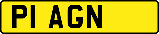 P1AGN