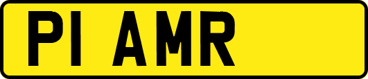 P1AMR