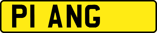 P1ANG