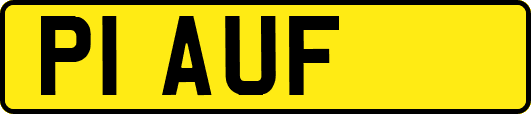 P1AUF