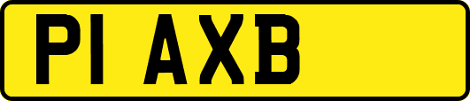 P1AXB