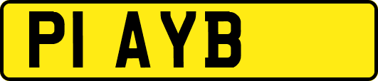 P1AYB