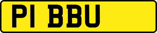 P1BBU