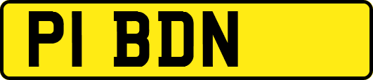 P1BDN