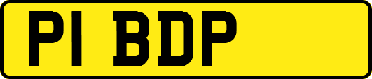 P1BDP