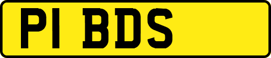 P1BDS