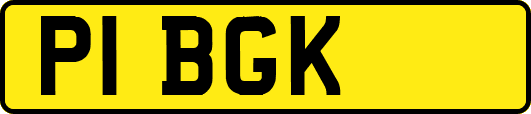 P1BGK