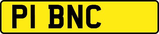 P1BNC