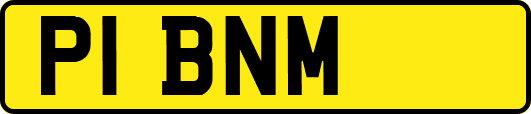P1BNM
