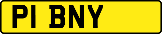 P1BNY