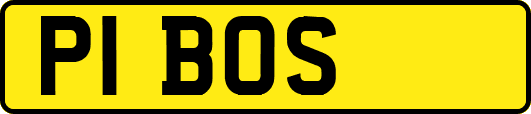 P1BOS