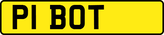 P1BOT
