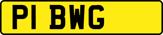 P1BWG