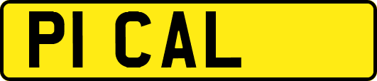 P1CAL