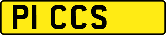 P1CCS
