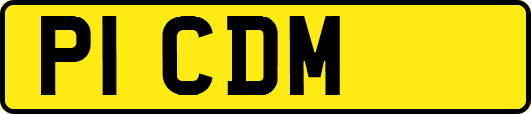 P1CDM