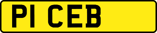 P1CEB