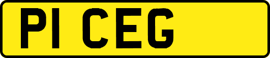 P1CEG