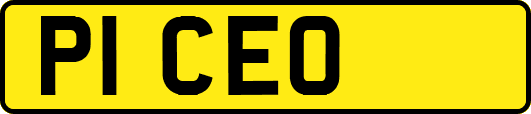 P1CEO