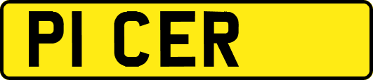 P1CER