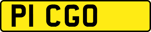 P1CGO